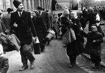 Bild zu 1956 | Europarat und Flüchtlingshilfe